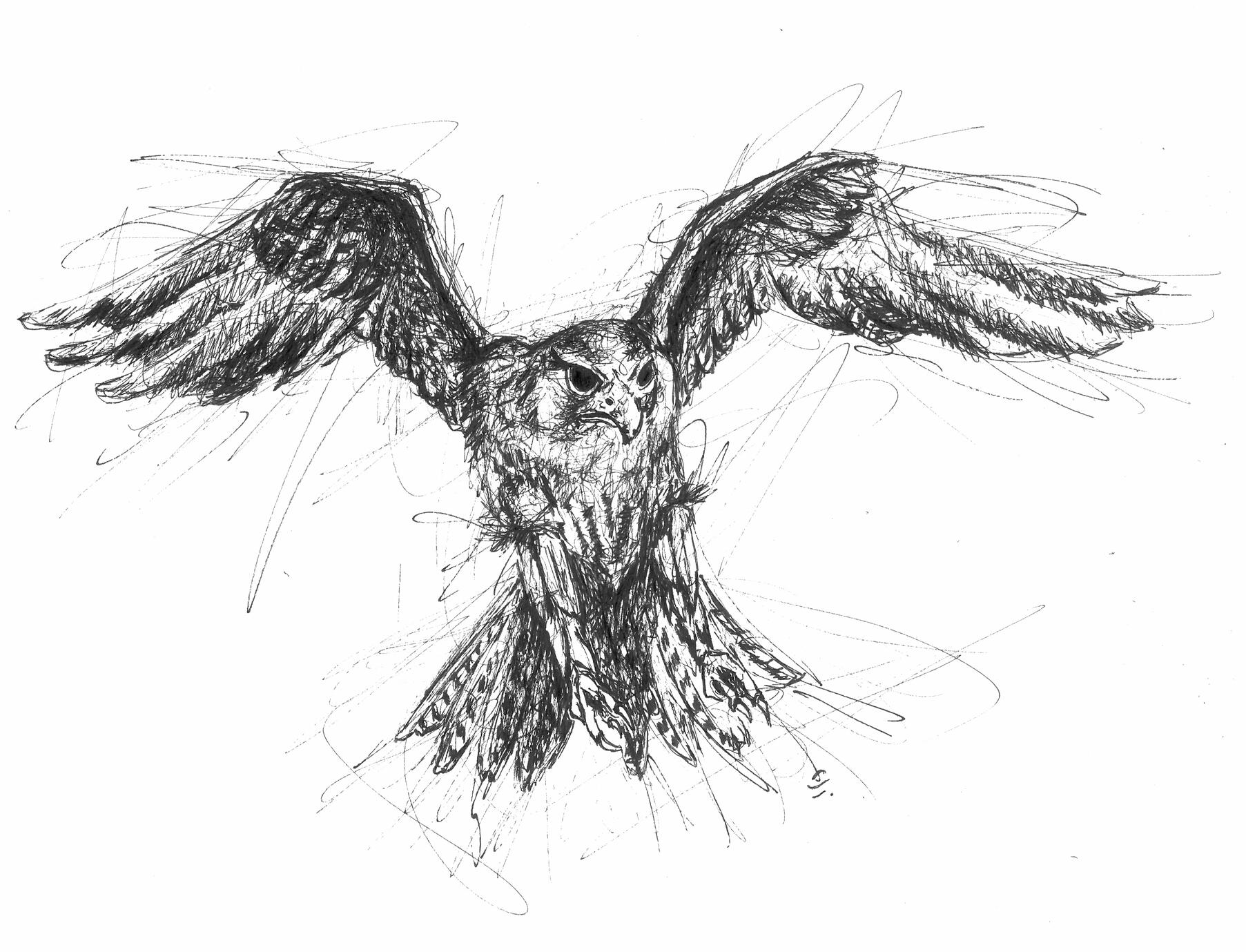 Freedom
